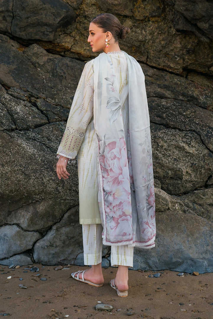 back view of Desi lawn suit with embroidered neckline and silk dupatta – Pakistani style