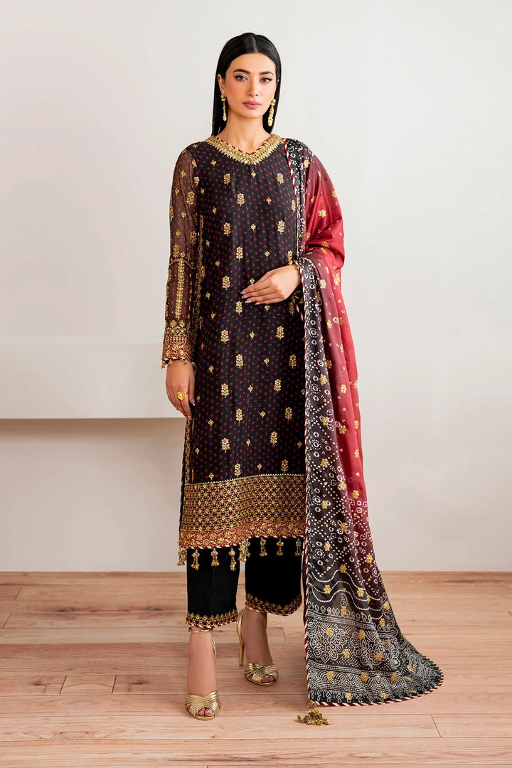Front view of Baroque Embroidered Chiffon outfit with handmade neckline patch, embroidered silk borders, and sparkling sequin detailing.