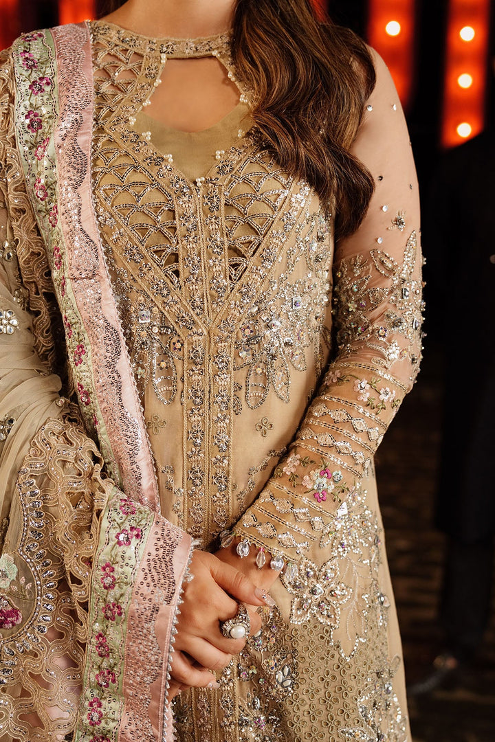 Close up of Nureh Jhoomro embroidered organza neck jaal and patti – Naaz by Nazia