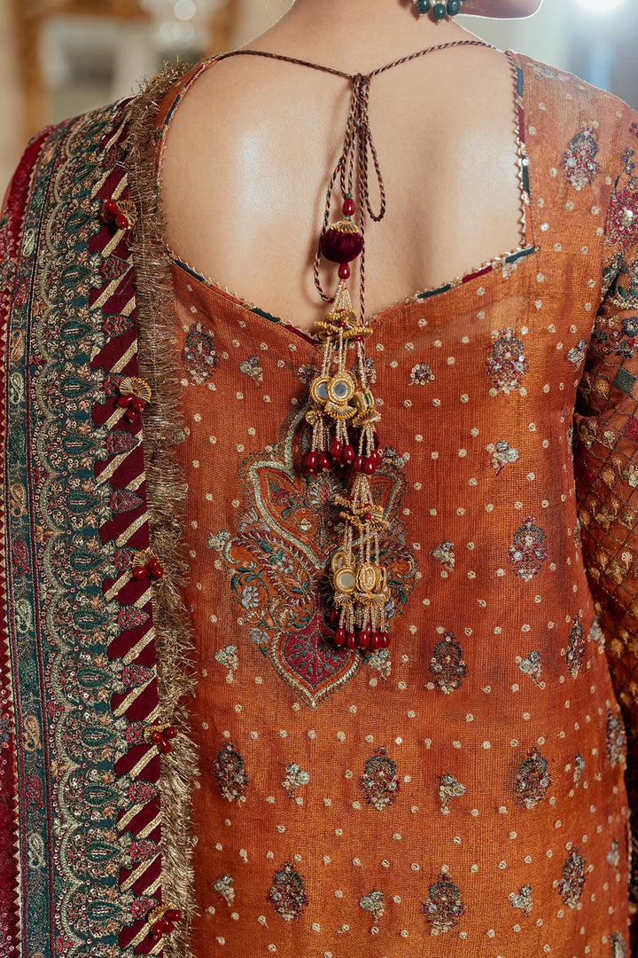 back neckline Hand-embroidered Pakistani suit in zari net with velvet and silk detailing