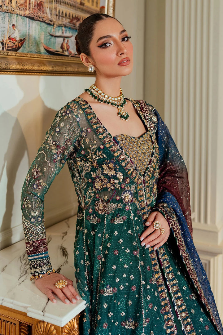 side angle stitched chiffon Pakistani suit with velvet and organza embroidery