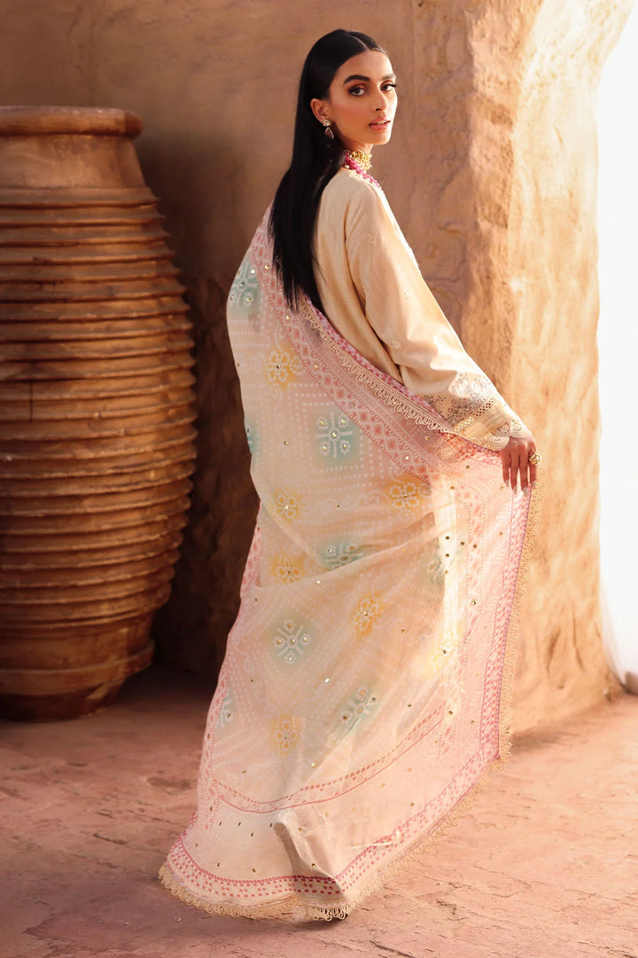 Back view showcasing Mukeshkari chiffon dupatta shimmer