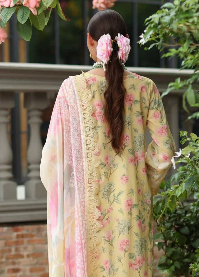 Back view highlighting chiffon dupatta drape